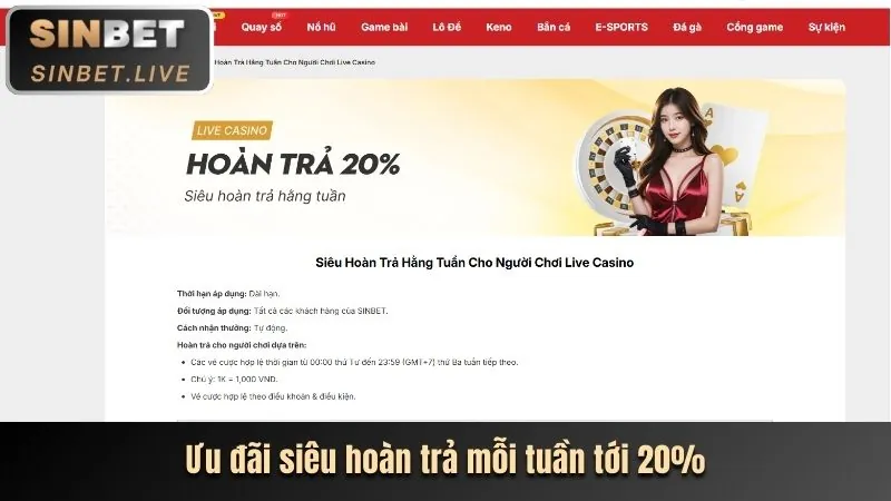 Chọn nền tảng 8bet casino đáng tin cậy